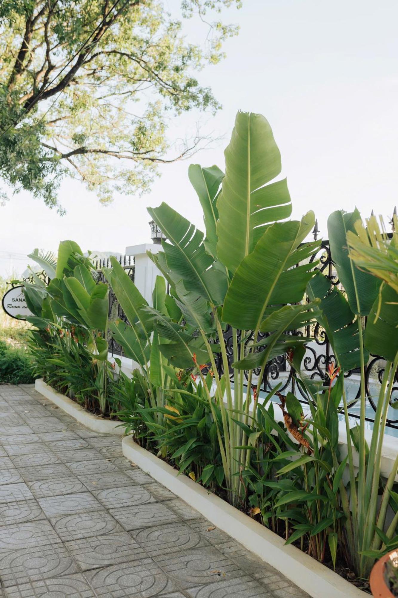 Tam Coc Sana Villa & Homestays Ninh Binh Exterior foto
